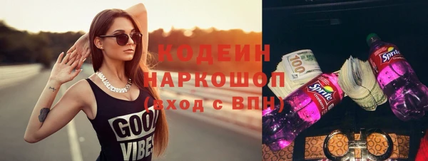 гидра Заводоуковск