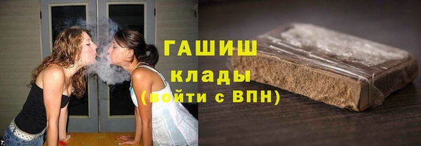 гидра Заводоуковск
