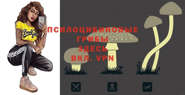 дурь Зеленокумск