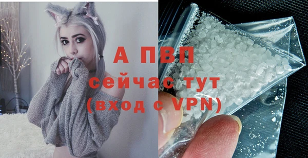 гидра Заводоуковск