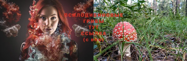 мяу мяу мука Заволжск