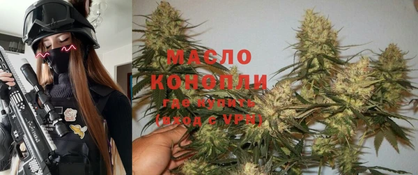 гидра Заводоуковск