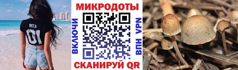 Галлюциногенные грибы MAGIC MUSHROOMS  Купить закладки  Краснослободск 